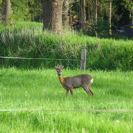 Charmante Ferienwohnung In Idyllischer Lage Jever Exterior foto